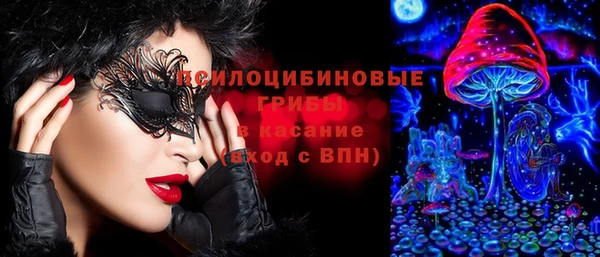 тгк Пестово