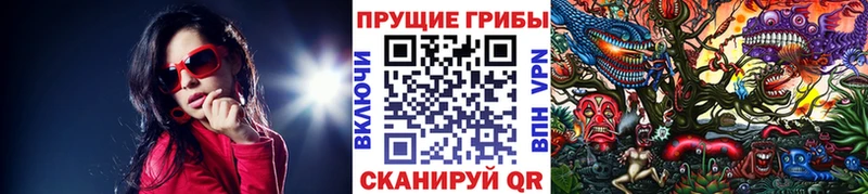 Псилоцибиновые грибы Psilocybine cubensis  Заводоуковск 